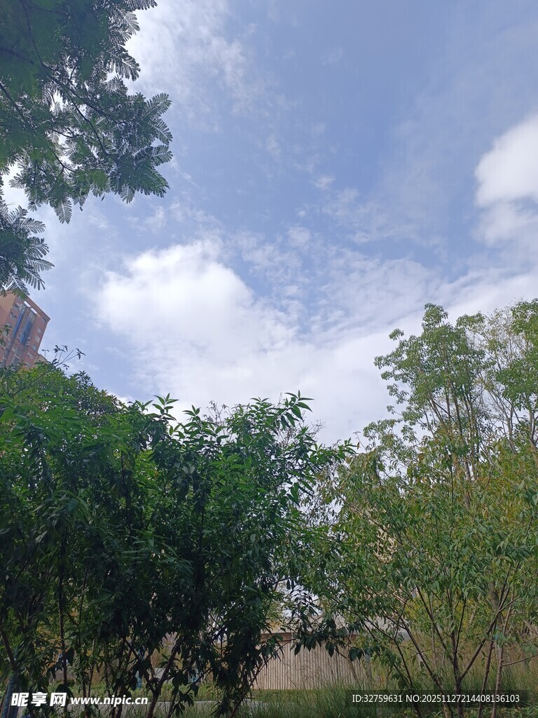 绿树掩映下的蓝天景致