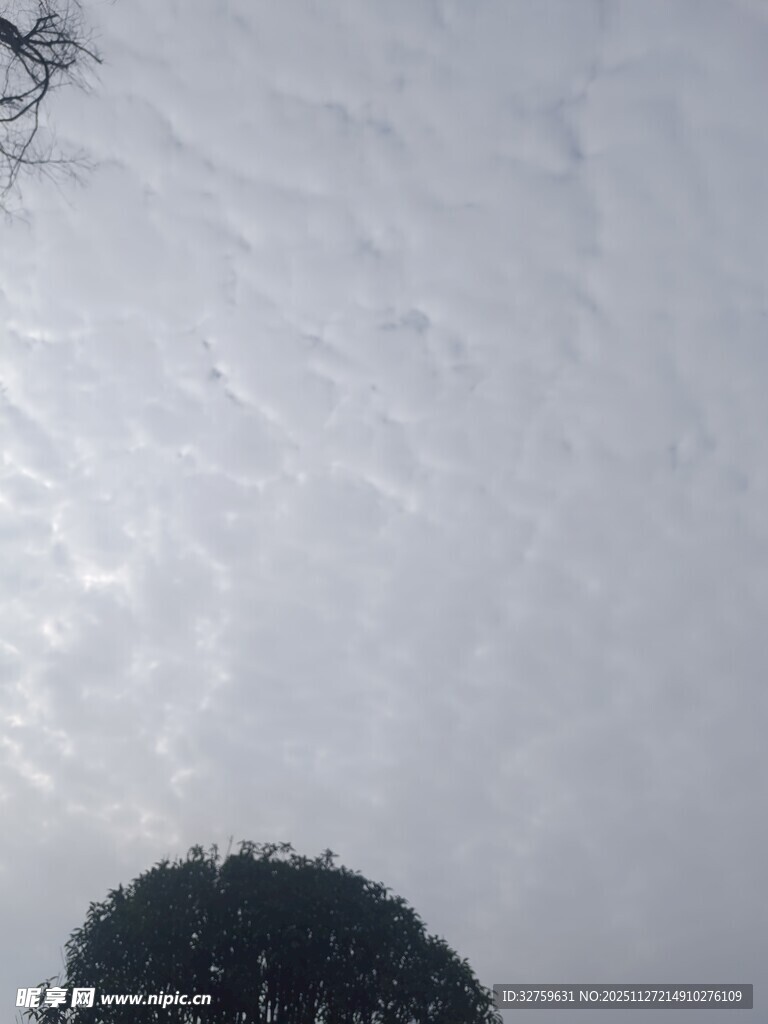 天空中的絮状云朵