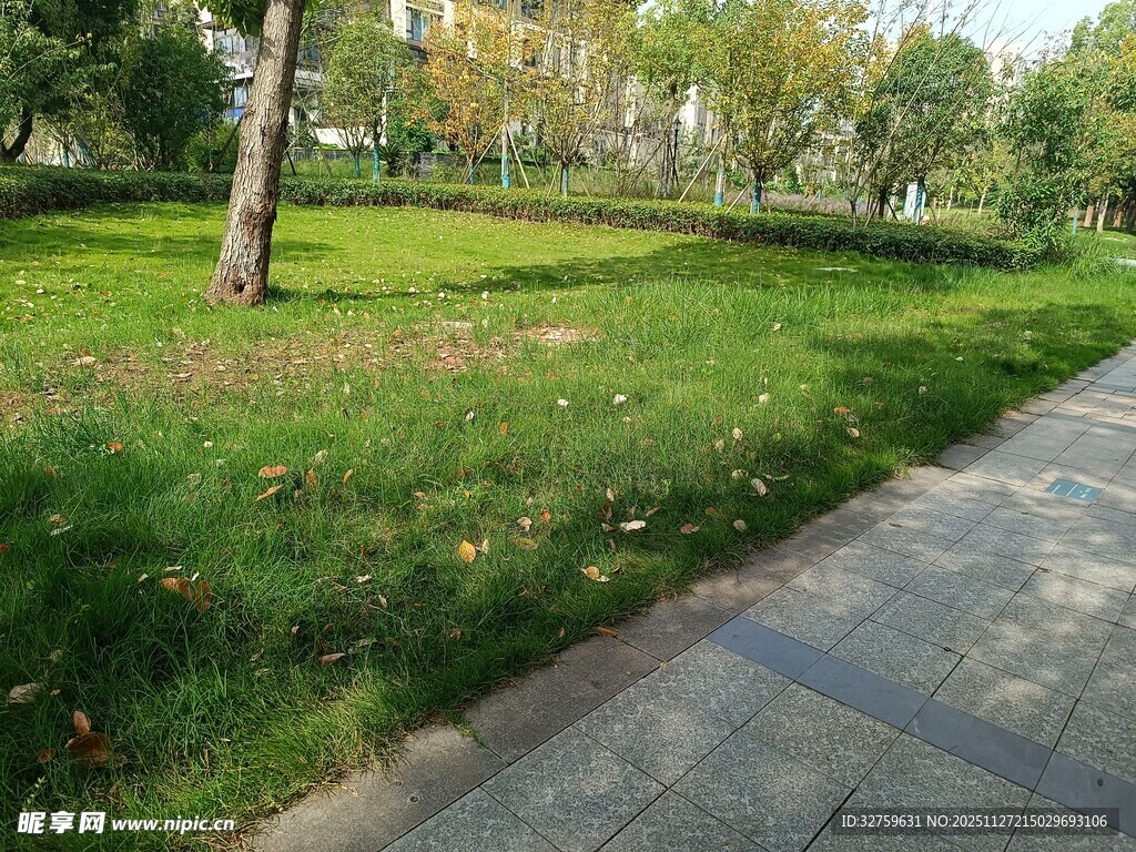 城市公园中的绿地与步道