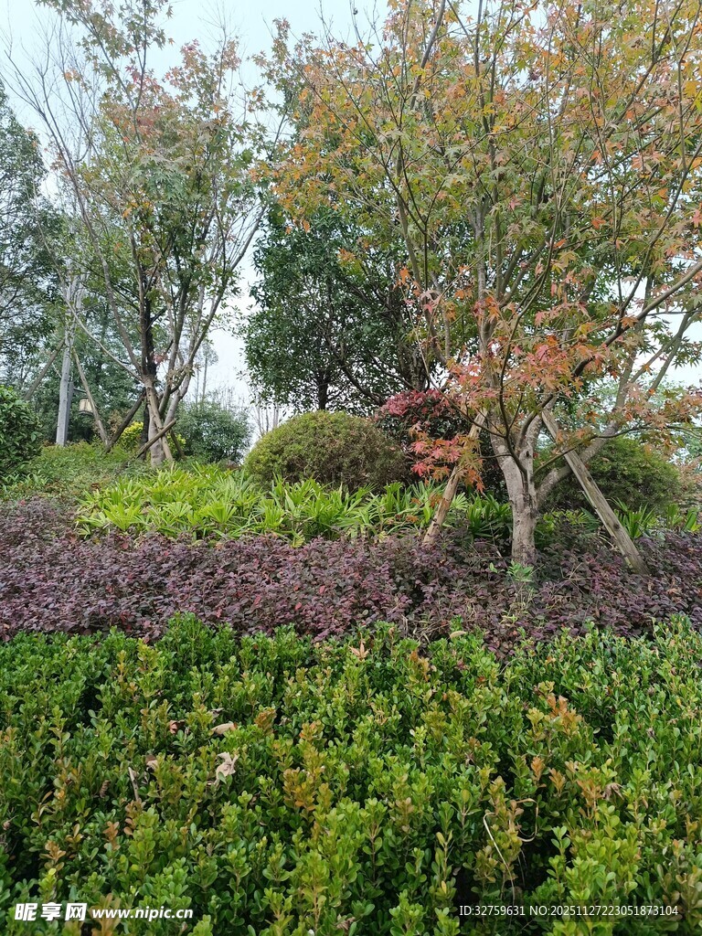 多彩植物景观