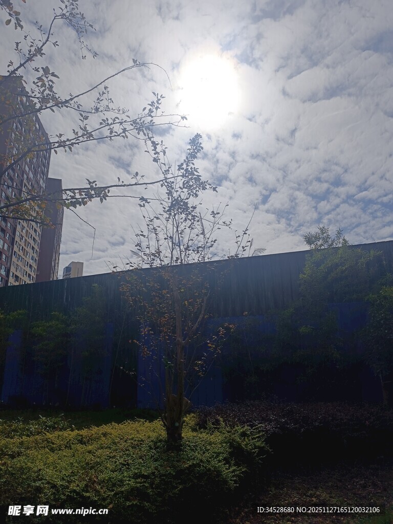 阳光下的户外景致