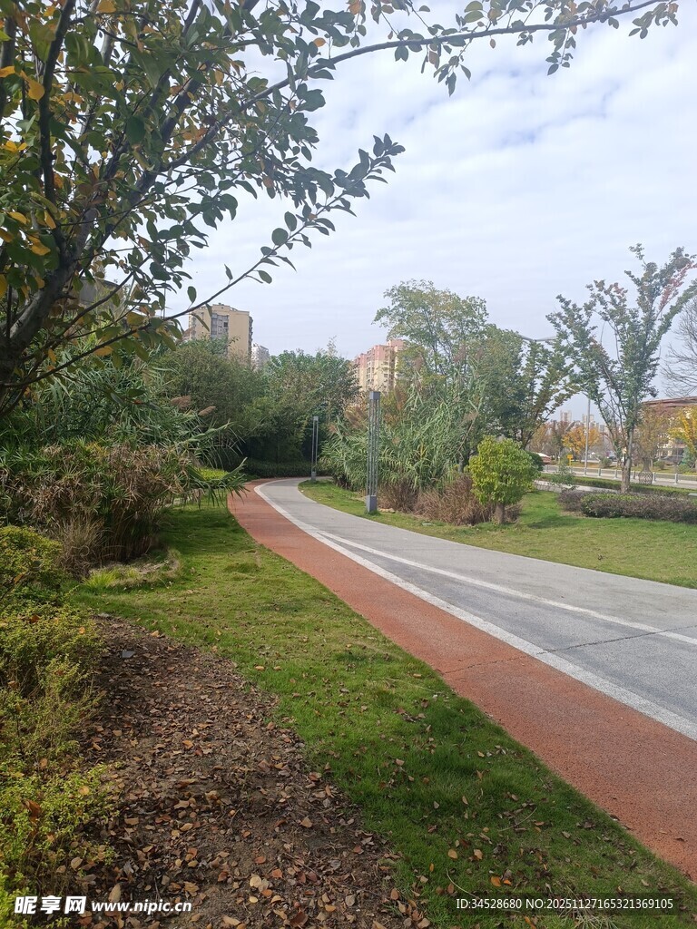 城市中的宁静骑行步道