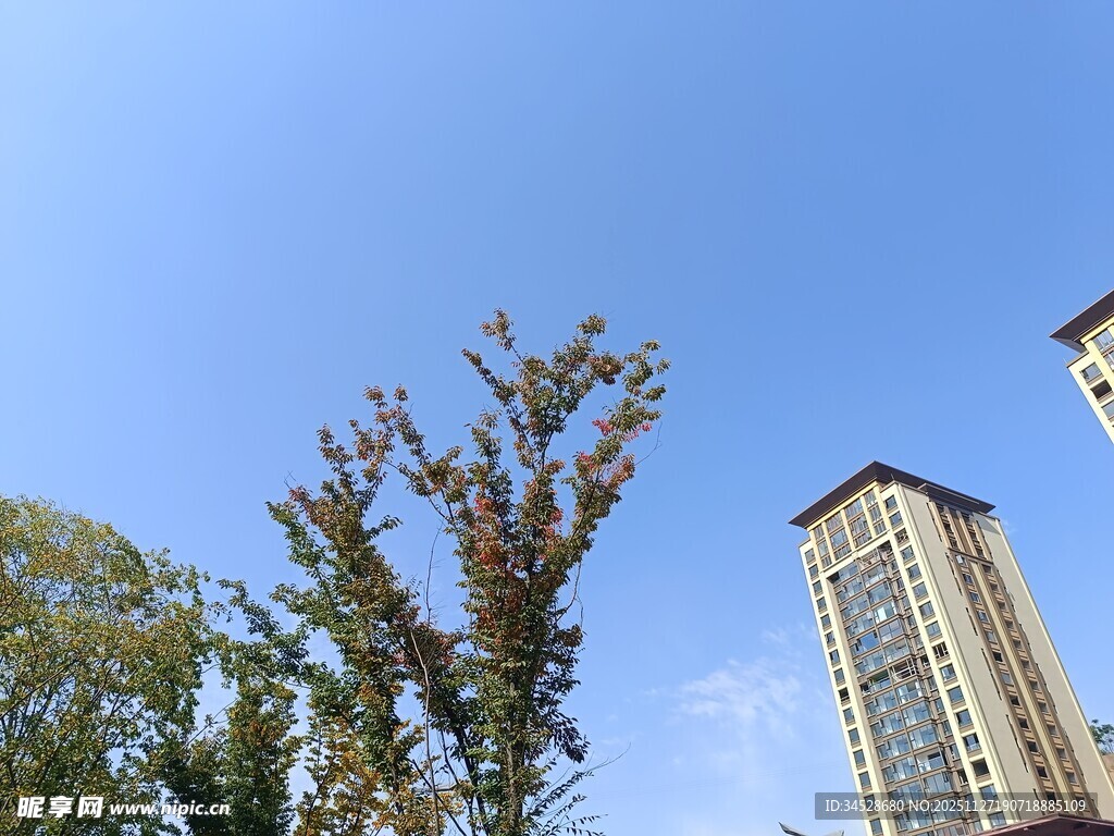 蓝天绿树旁的高楼景观