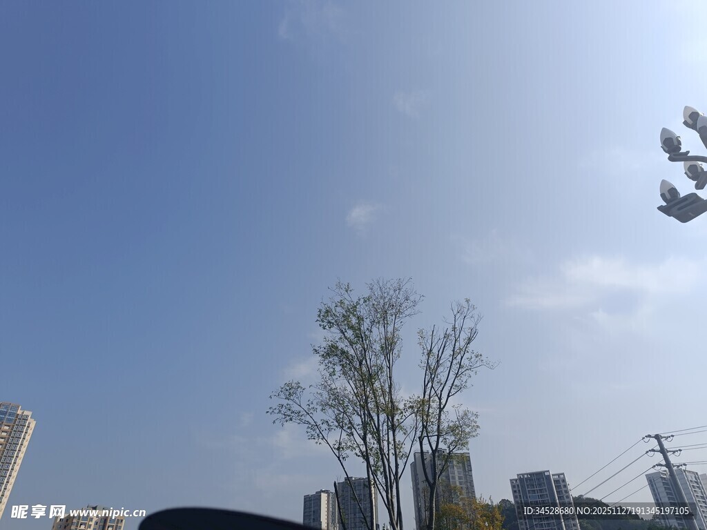 城市蓝天树木景观