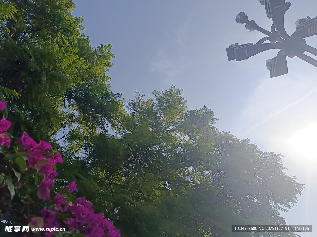 蓝天绿树间的多彩景致