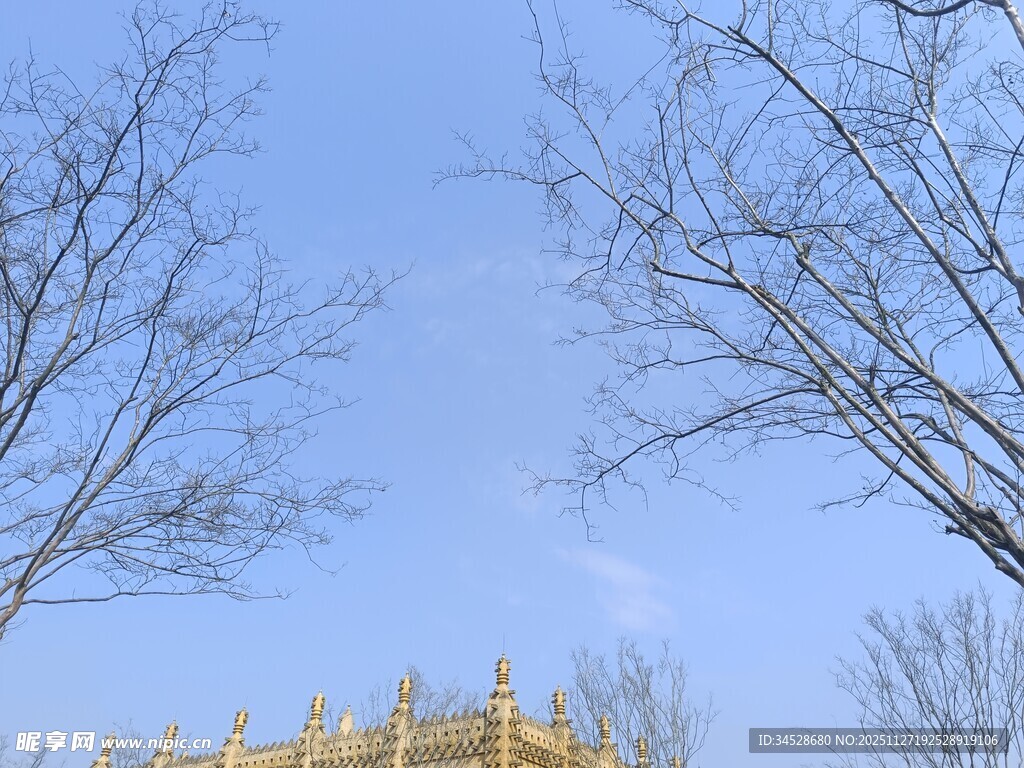 蓝天枯枝下的古建筑