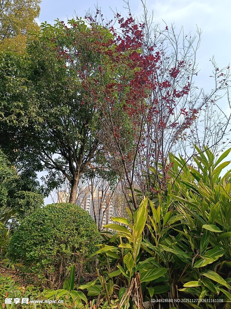 户外多彩植物景观