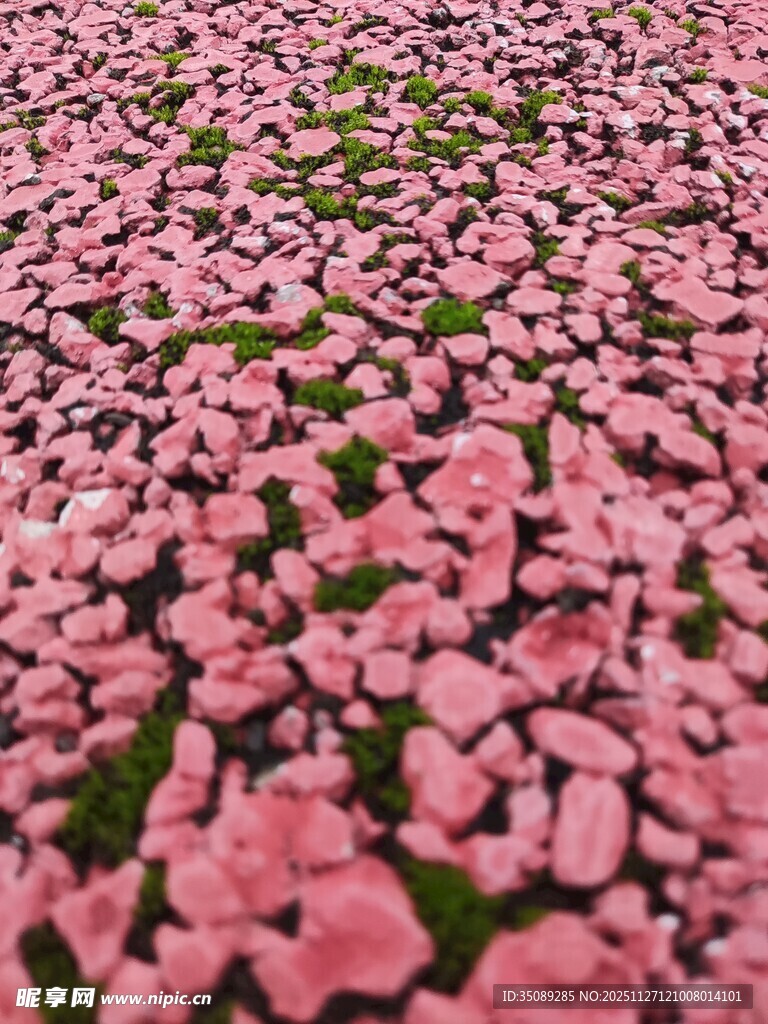 粉色繁花铺就浪漫花毯