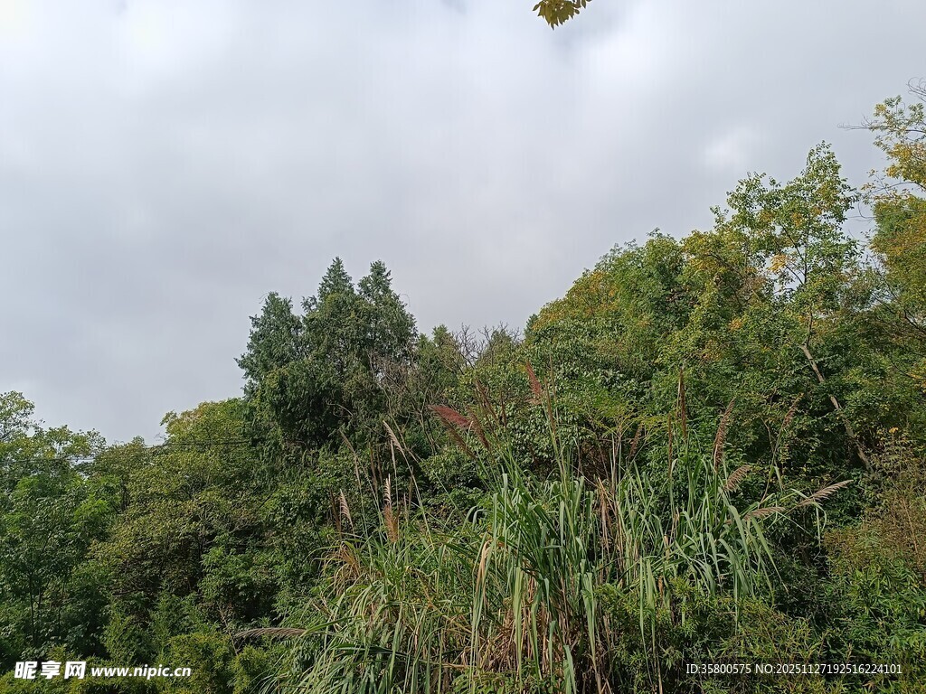 山林间的开阔自然景致