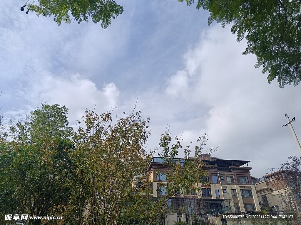 绿树掩映下的古朴建筑