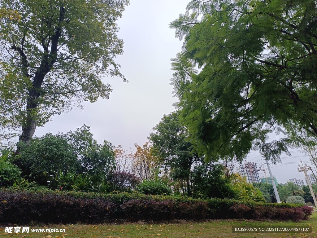 户外绿意盎然的园林景观