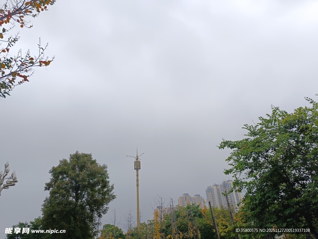 户外绿树间的高塔景观