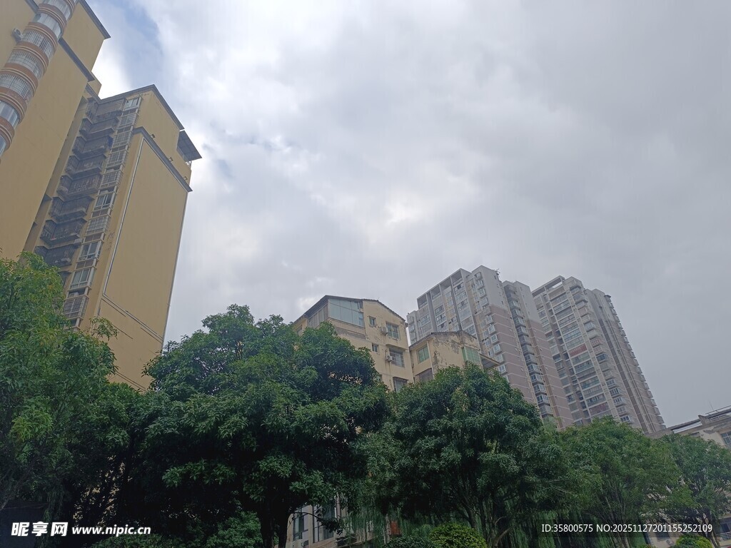 城市高楼与绿树景观