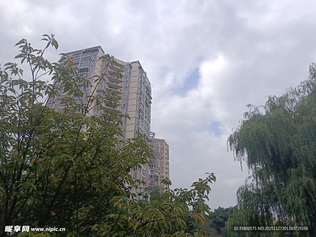 高楼旁绿树与多云天空
