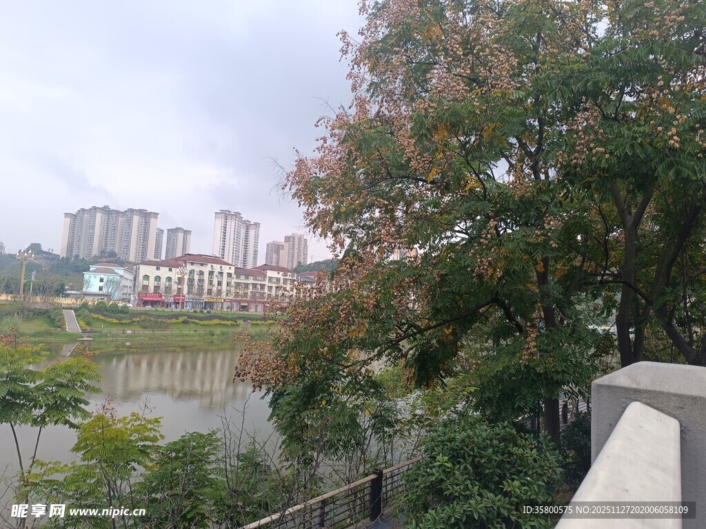 湖畔城市风光与繁茂树木