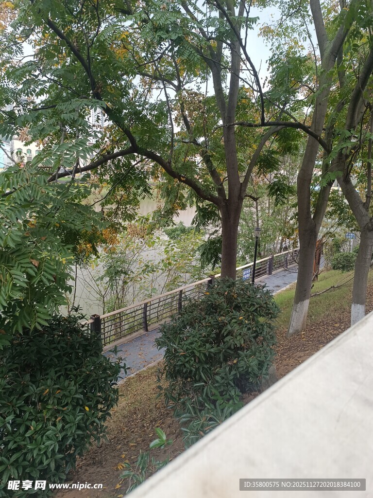 户外绿树环绕的景致