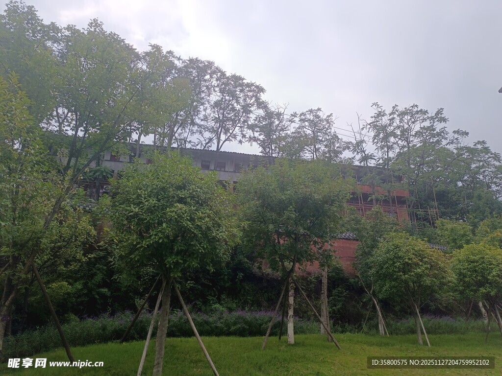 绿意盎然的户外园林景观