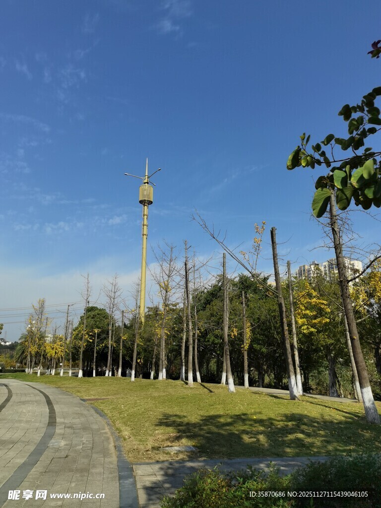 城市公园中的高塔景观