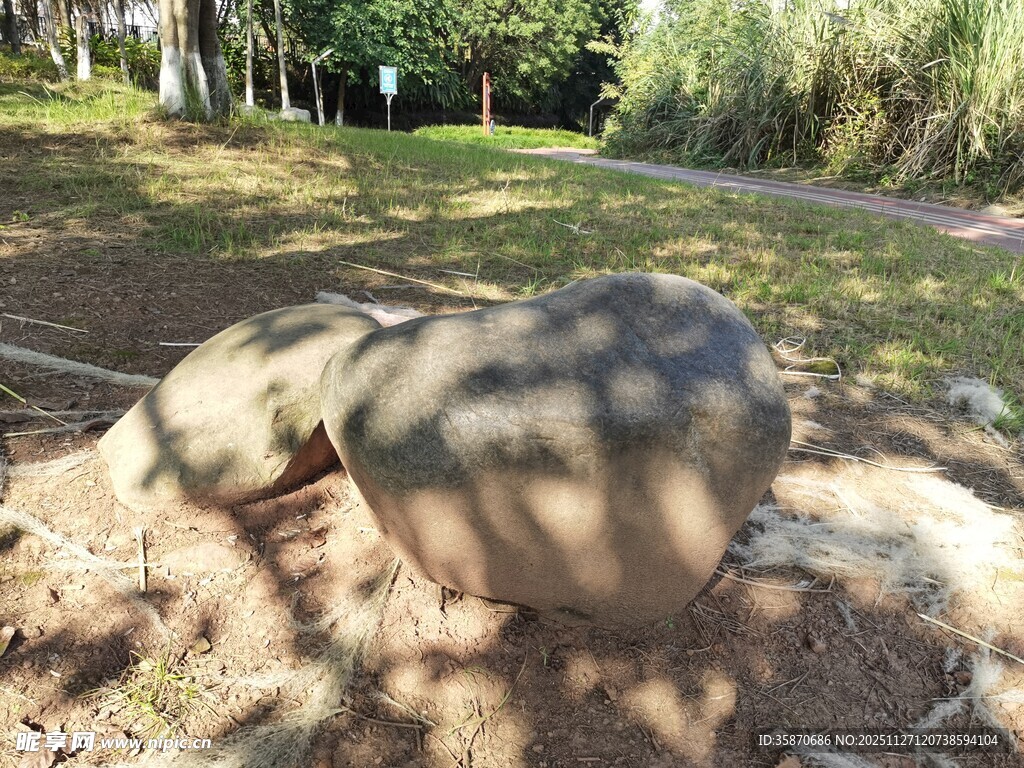 户外地面上的奇特物体