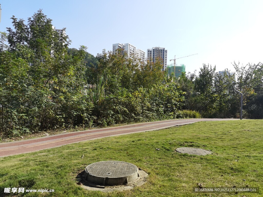 户外草地与树木景观