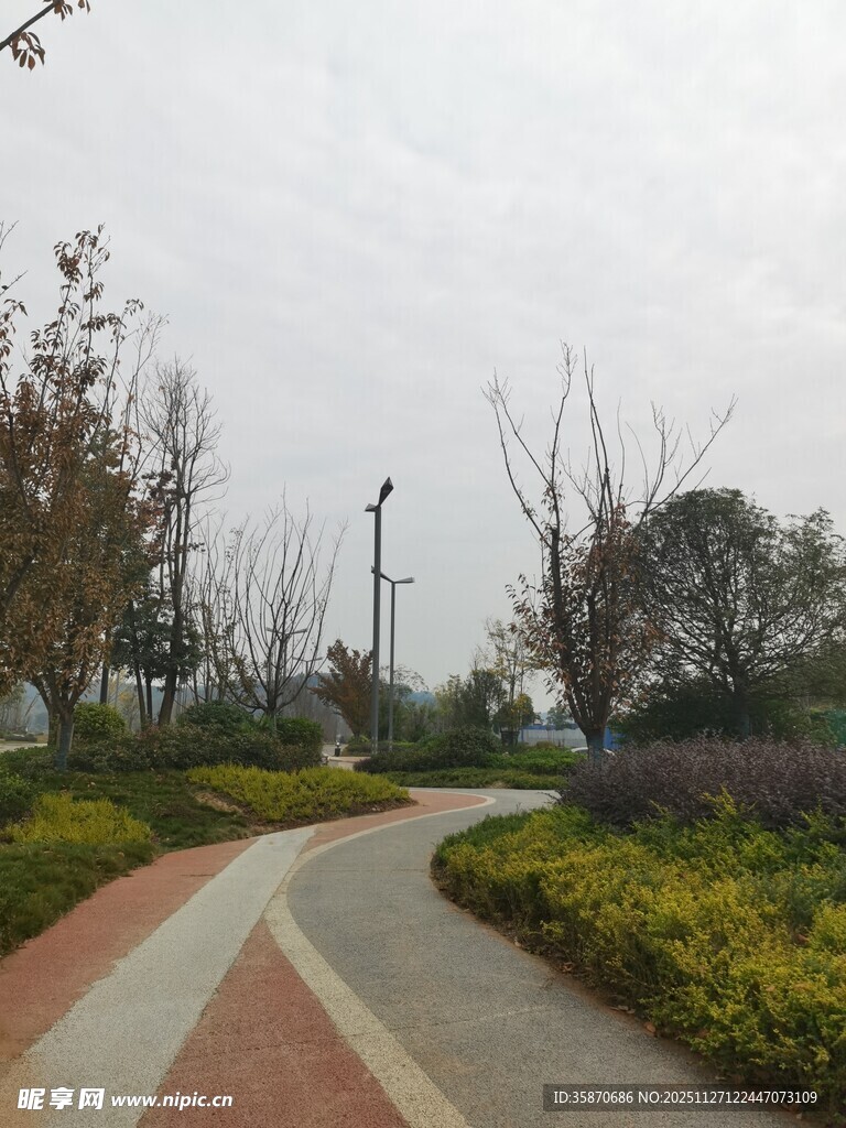 城市中的静谧林荫小道