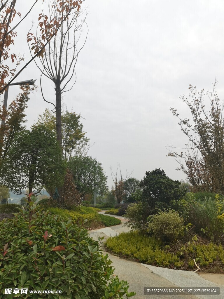 户外蜿蜒小径旁绿植景观