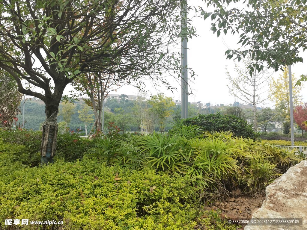 绿意盎然的户外园林景致