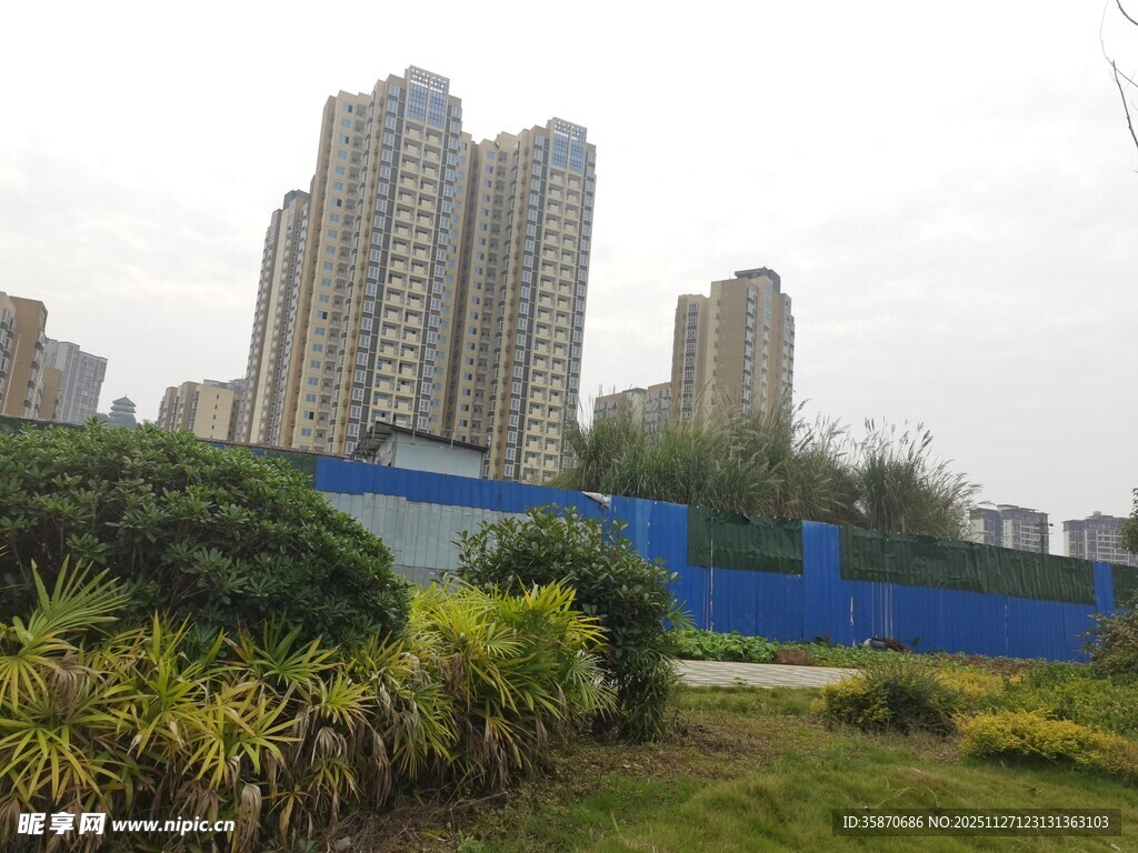 城市绿地旁的高楼景观