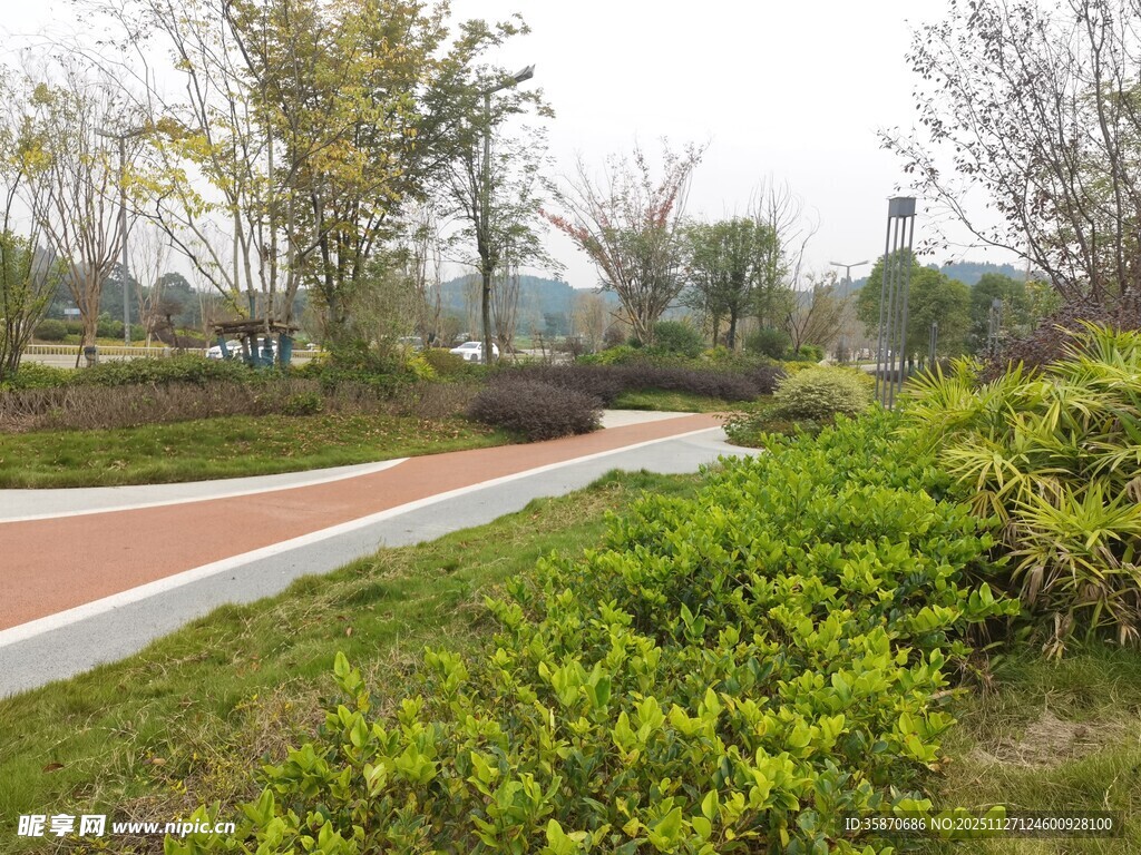 公园内的多彩步道与绿植