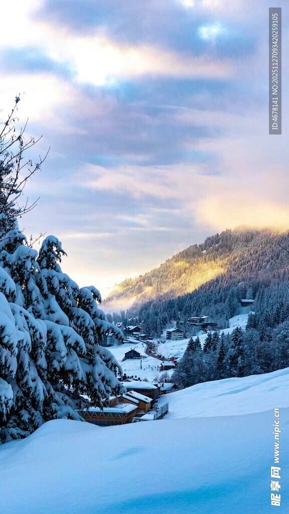 冬日雪景中的静谧山林