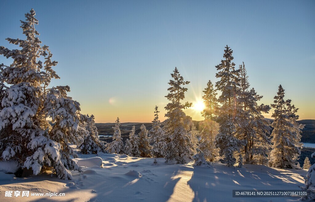 冬日雪林日出美景