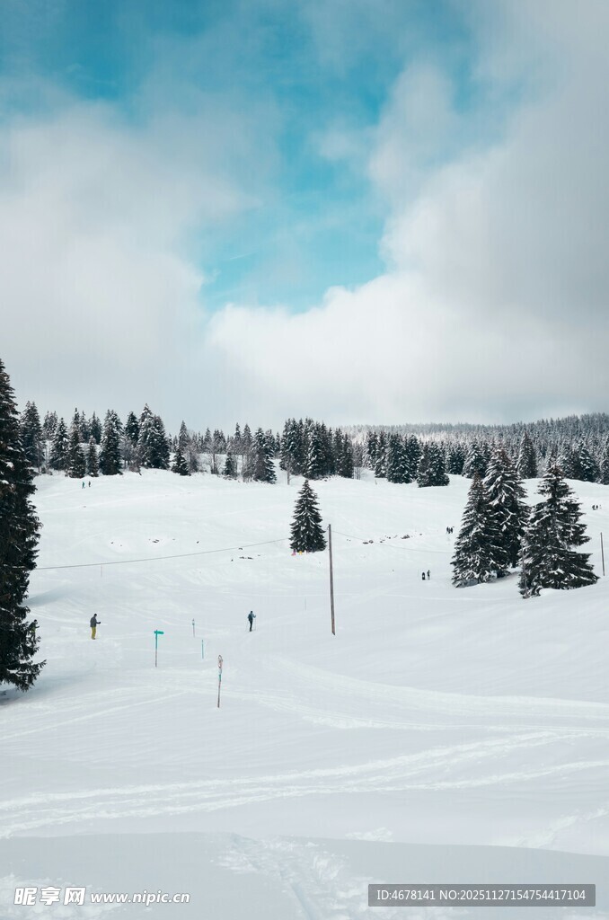 冬日雪景中的静谧山林