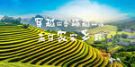田园风光之梯田美景 乡野 餐饮
