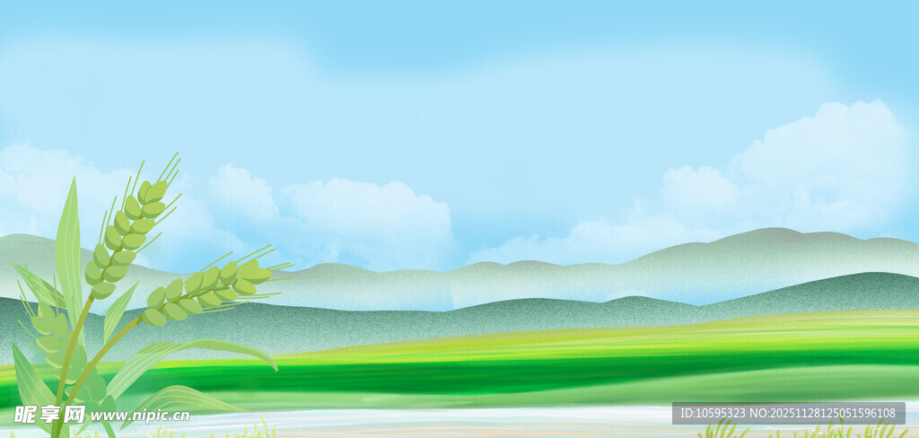 田园风光中的翠绿麦田