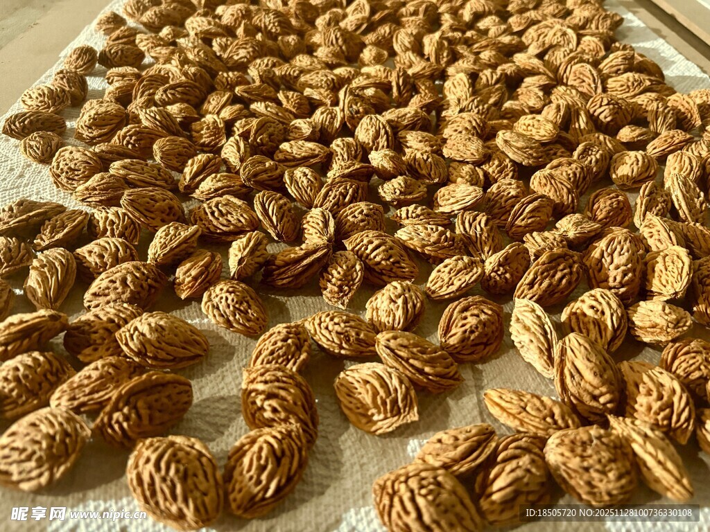 饱满杏仁整齐摆放