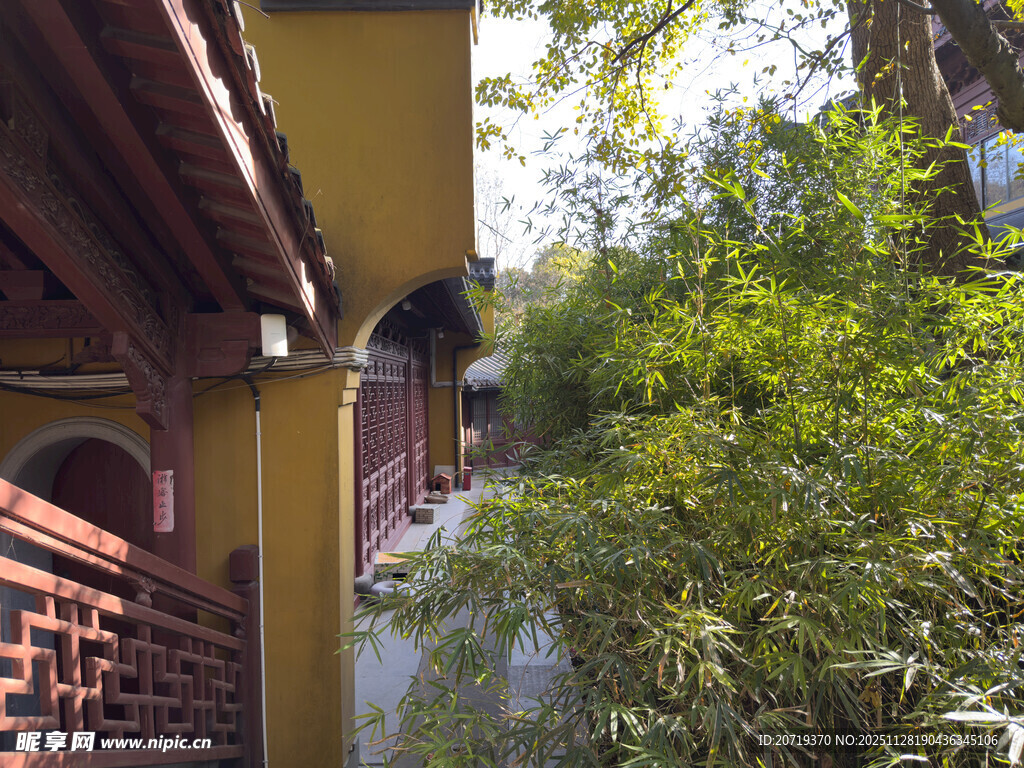 古建旁绿意盎然的景致