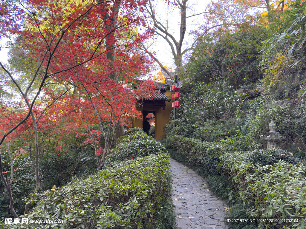秋日幽径旁的红枫与古亭