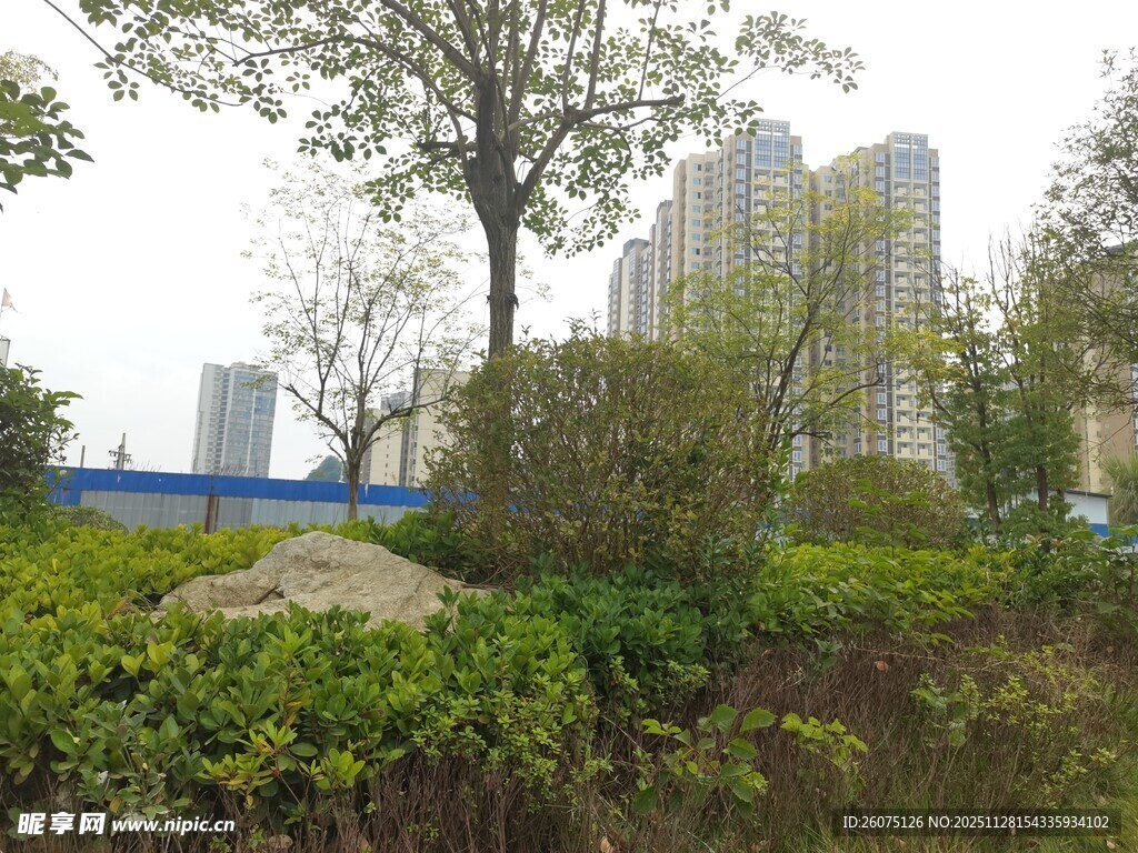 城市中的绿植景观