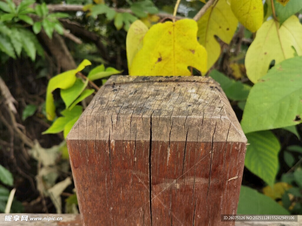 户外木质护栏特写