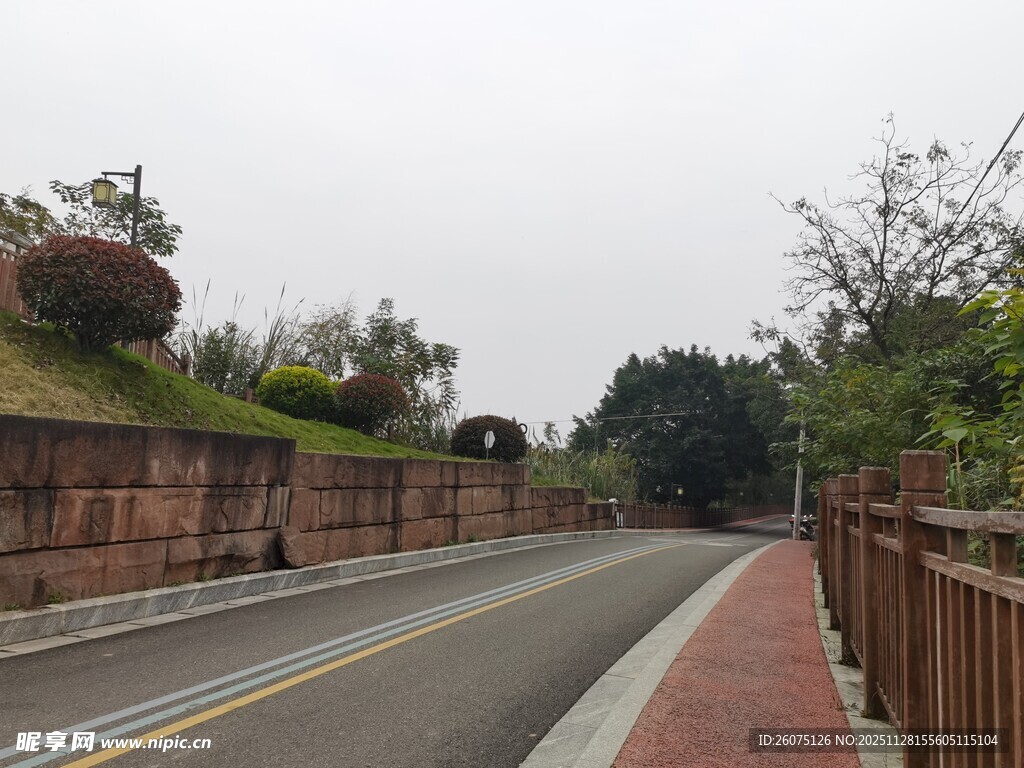 城郊静谧道路景观