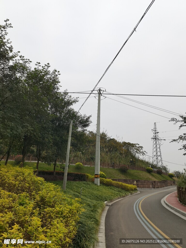 蜿蜒公路旁的绿植景观