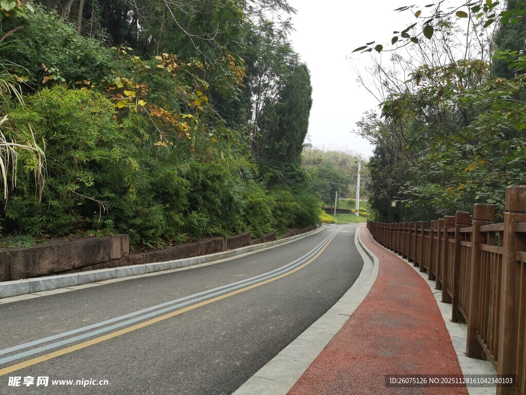 蜿蜒公路旁绿植环绕美景
