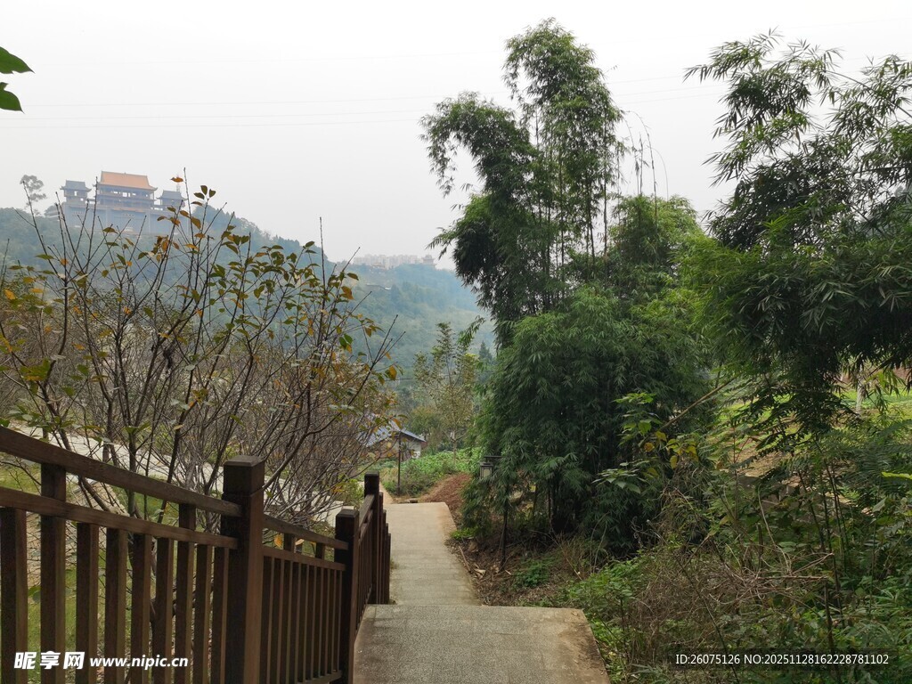 林间小径静谧自然风光