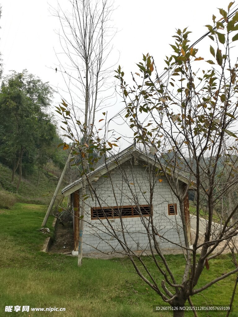 乡村小屋旁的春日景致