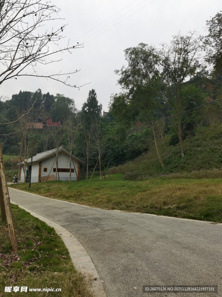 乡村蜿蜒小路旁的民居