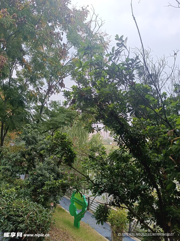 林间绿意盎然的自然景致