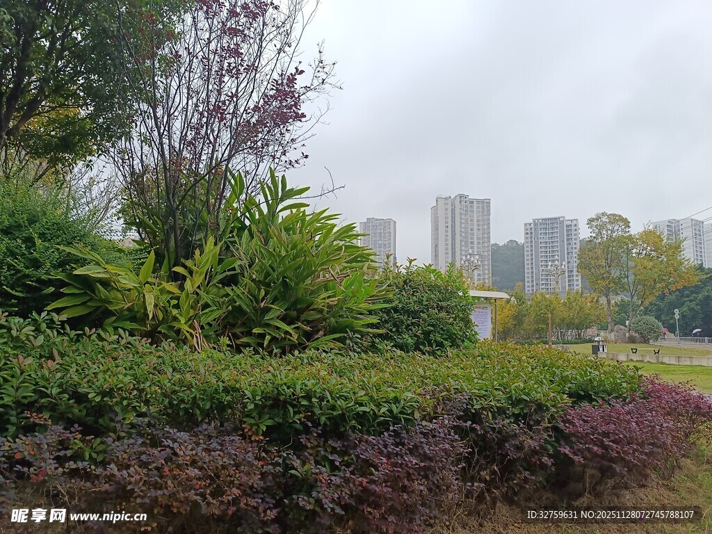 城市中的绿植景观