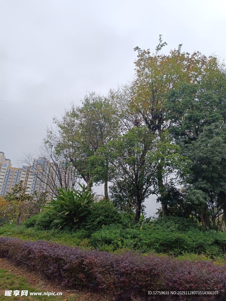 户外绿植景观