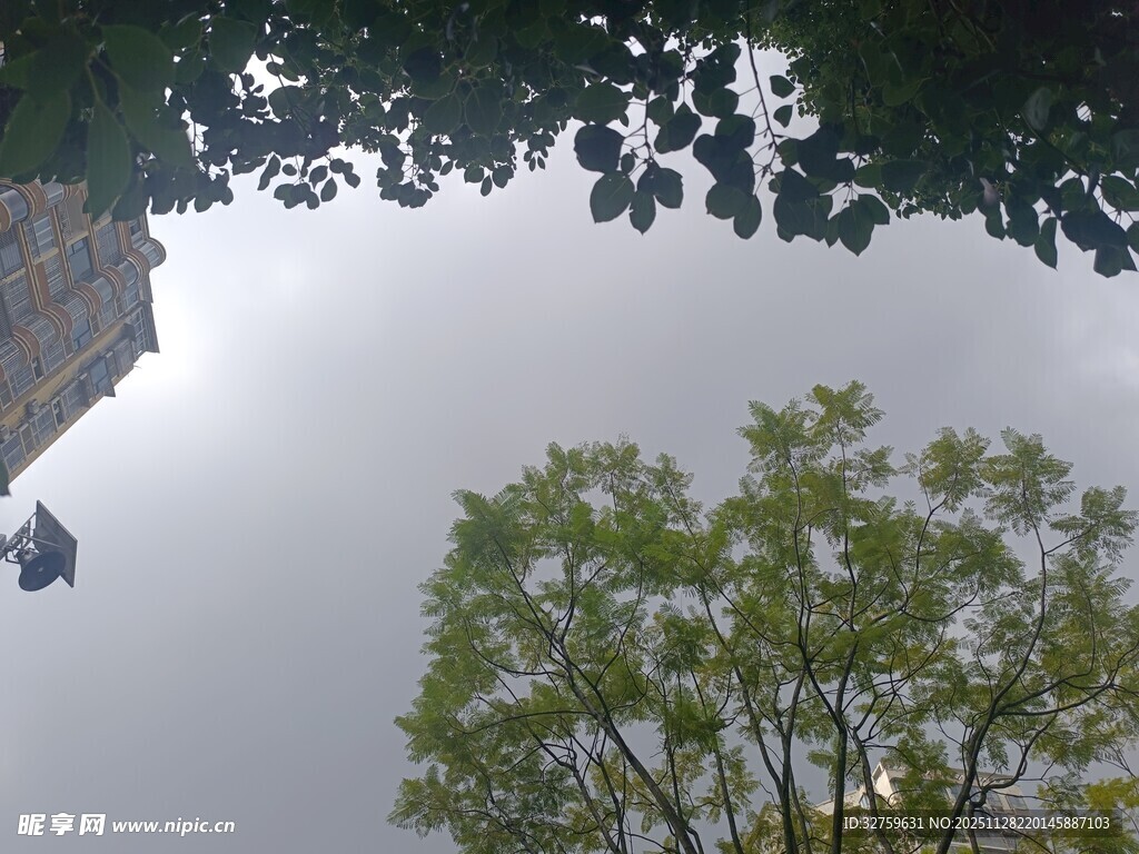 湖面倒影山林与飞鸟