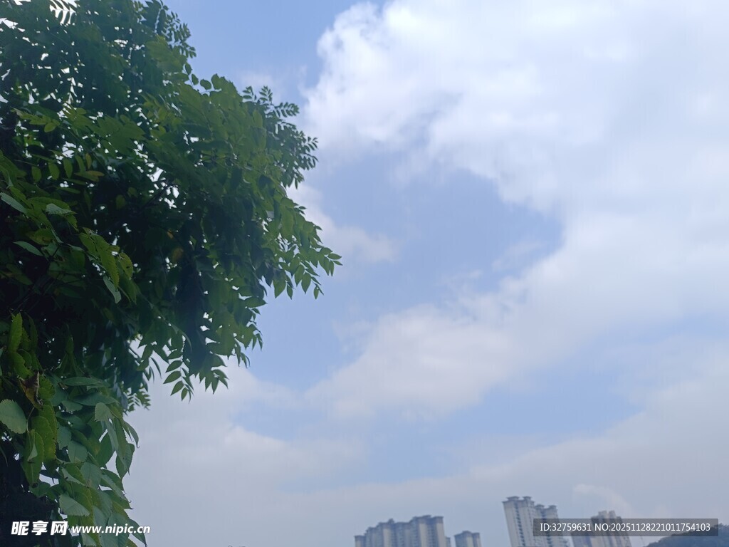 绿树蓝天映衬下的城市景观